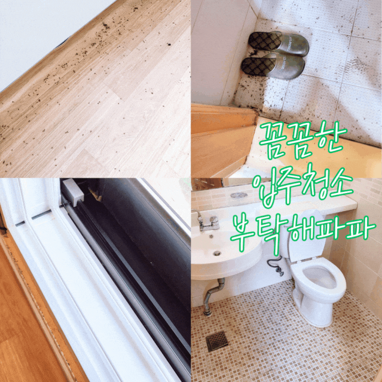  입주청소 확인 방법 아파트 입주청소 비용 금액 가성비 업체 총정리