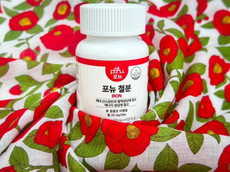  변비없는철분제 복용법 빈혈에좋은영양제 선택 사항!