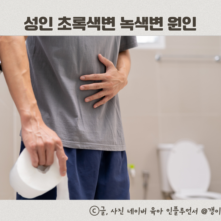  성인 초록색변 녹색변 원인 이유
