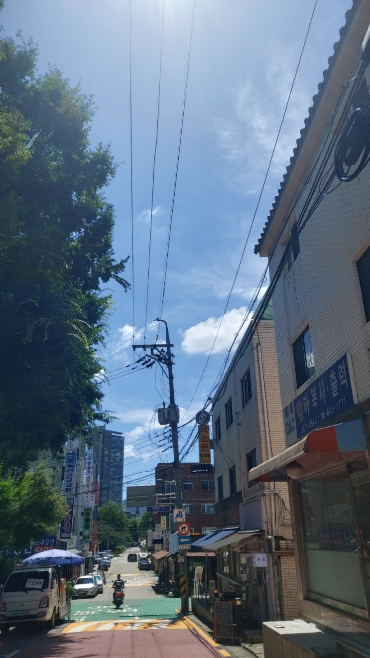  아들