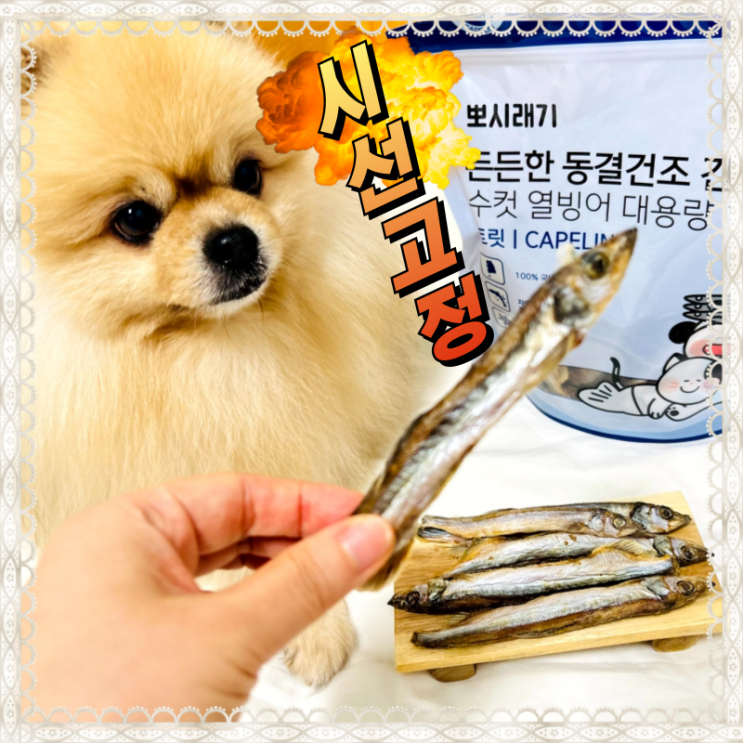  열빙어트릿 뽀시래기 대용량이라 든든한 강아지 간식 후기