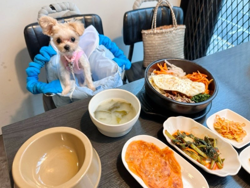 사진 5