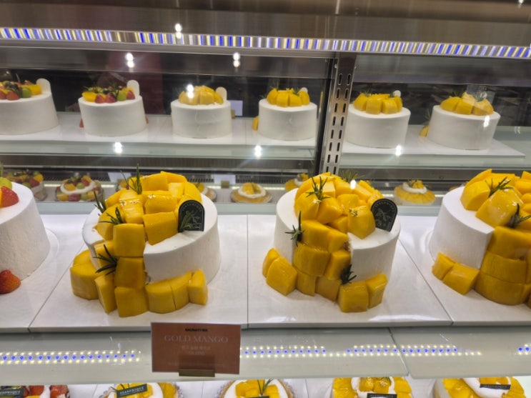  고속터미널맛집 스위트파크 케이크 시즈니크 신세계백화점 강남점