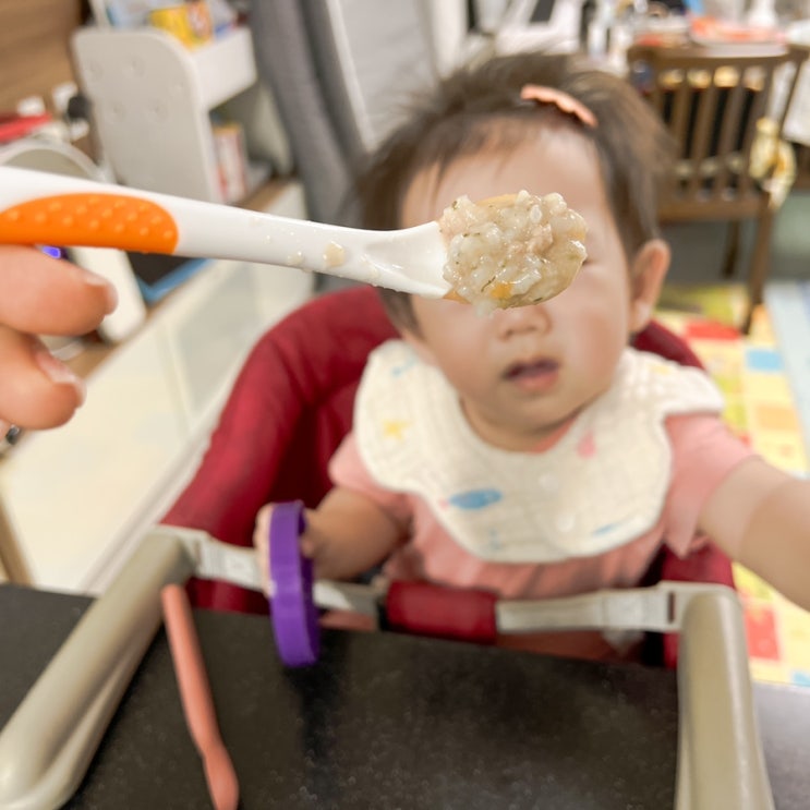  건강한 이유식 준비, 개월 수별 순서는? 이렇게 시작하세요.