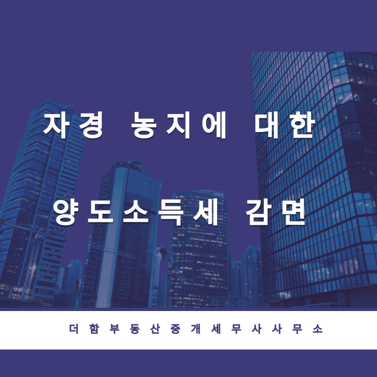  자경 농지에 대한 양도소득세 감면