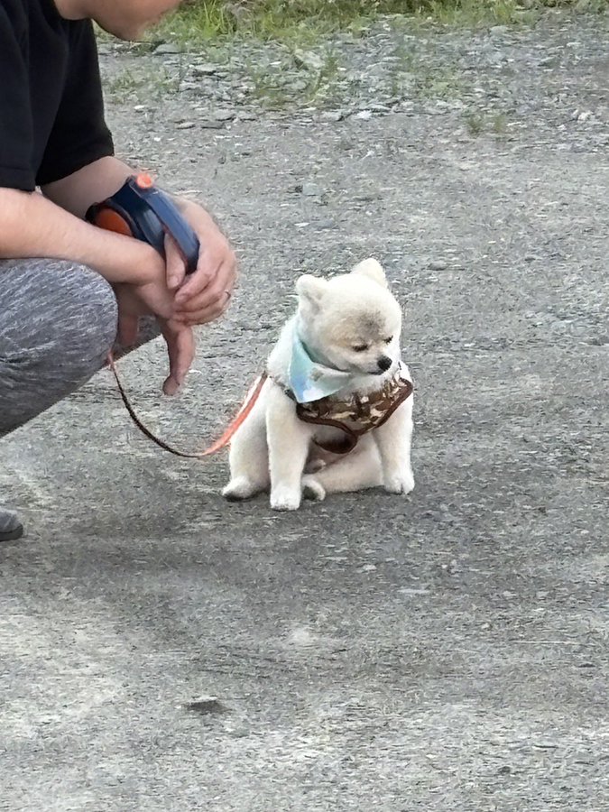  아무튼, 하루키 책리뷰
