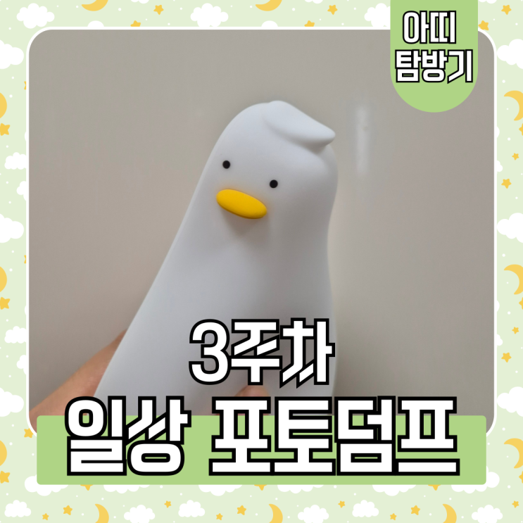  여전히 잘 먹고 다니면서 머리도 하고 깜짝 선물도 받은 일상 log