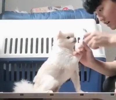 사진 3