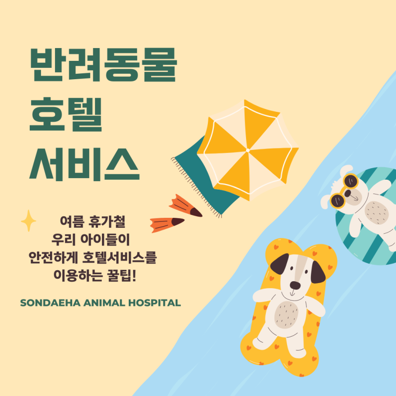사진 3