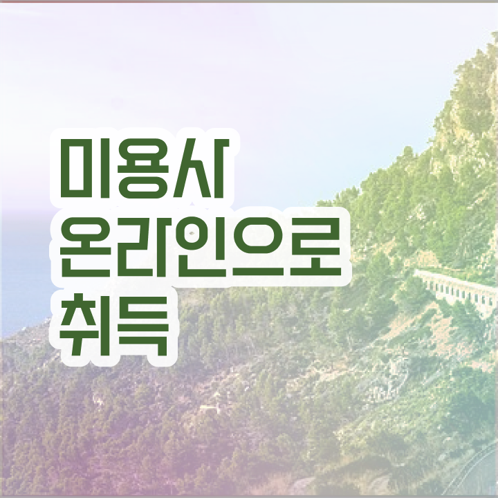  피부관리사 대학 , 피부관리사 창업 시작할 때, 공부해야 하는 면허증은? 온라인으로 간단하게