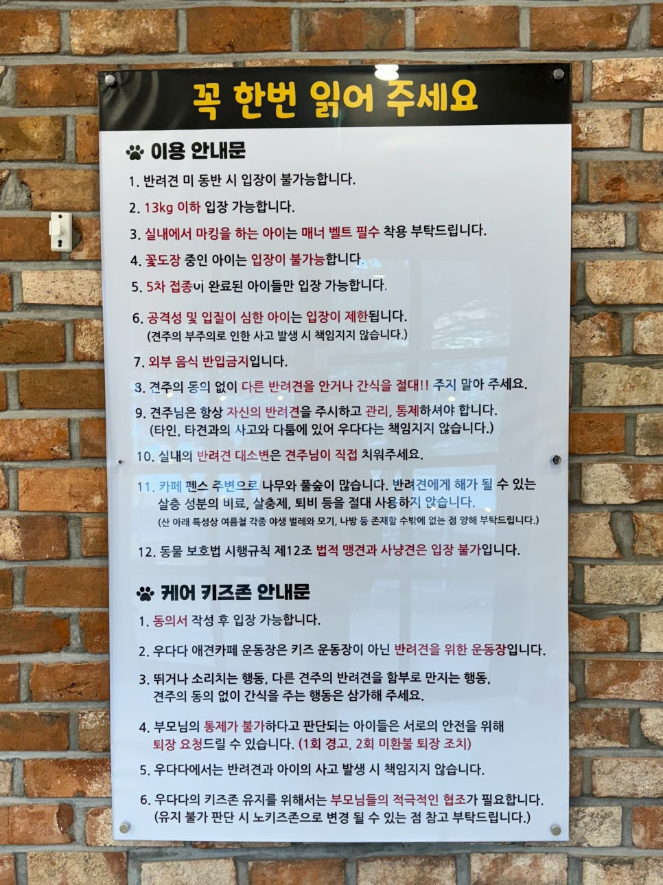 우다다 사진 4