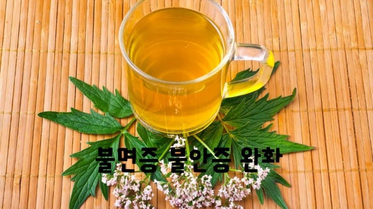  불면증 불안증에 천연 수면제 쥐오줌풀 효능 부작용 먹는법