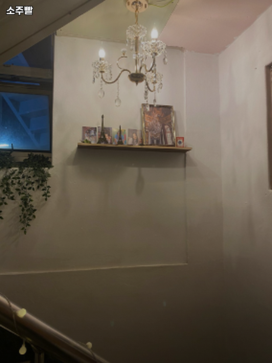소주빨 사진 3