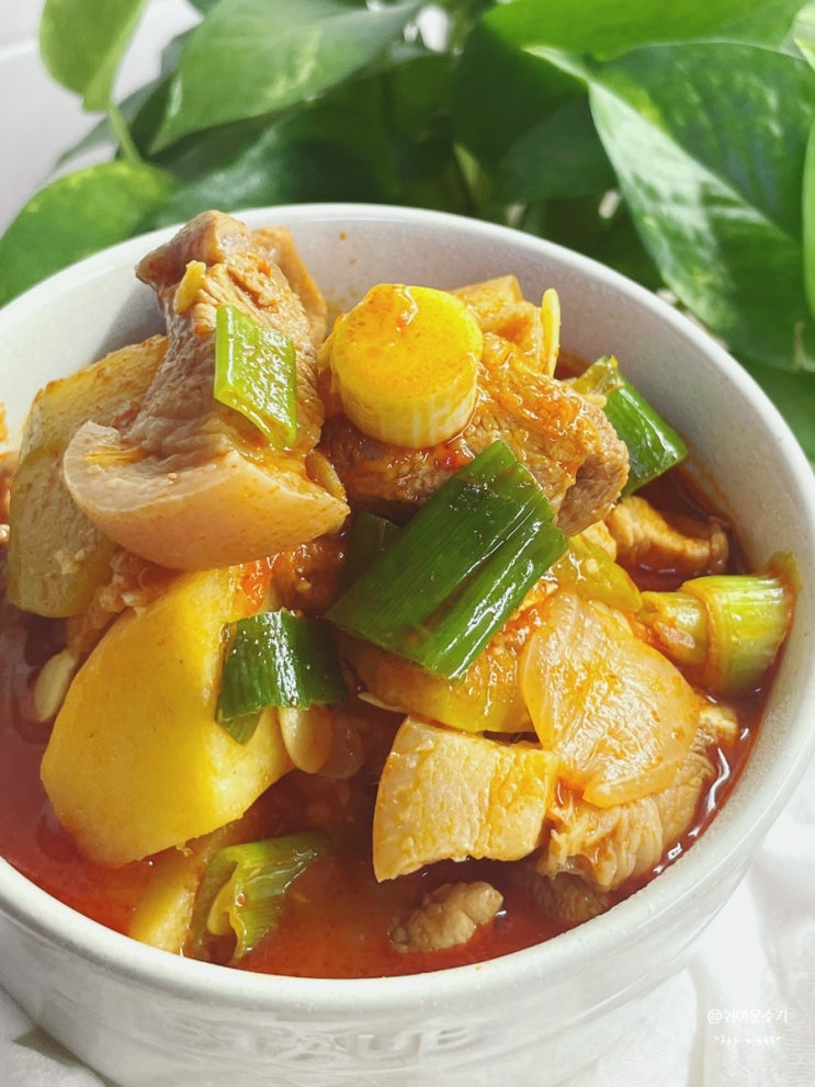  고추장찌개 만들기 칼칼한 백종원고추장찌개 레시피 둥근호박 돼지고기고추장찌개 요리