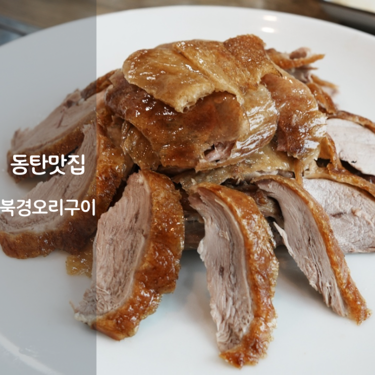  동탄 센트럴파크 맛집 개나리공원 북경오리구이 오리요리 베이징덕