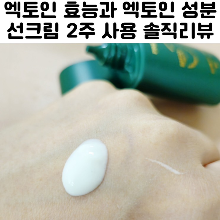  엑토인 효능 성분 선크림