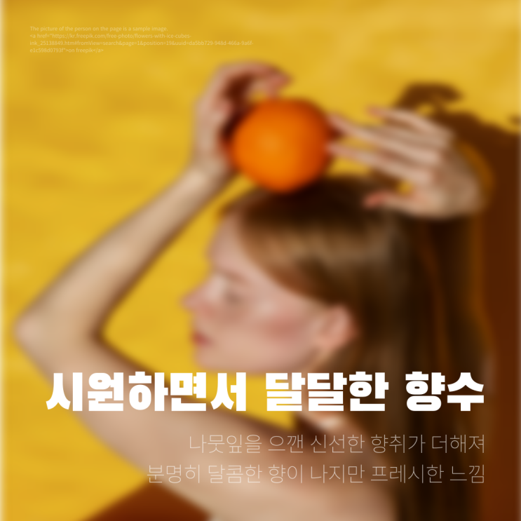  대구 향수공방 취향을 반영한 나만의 MBTI 향수 만들기 : 신세계백화점 동대구 근처 놀거리 실내 데이트코스