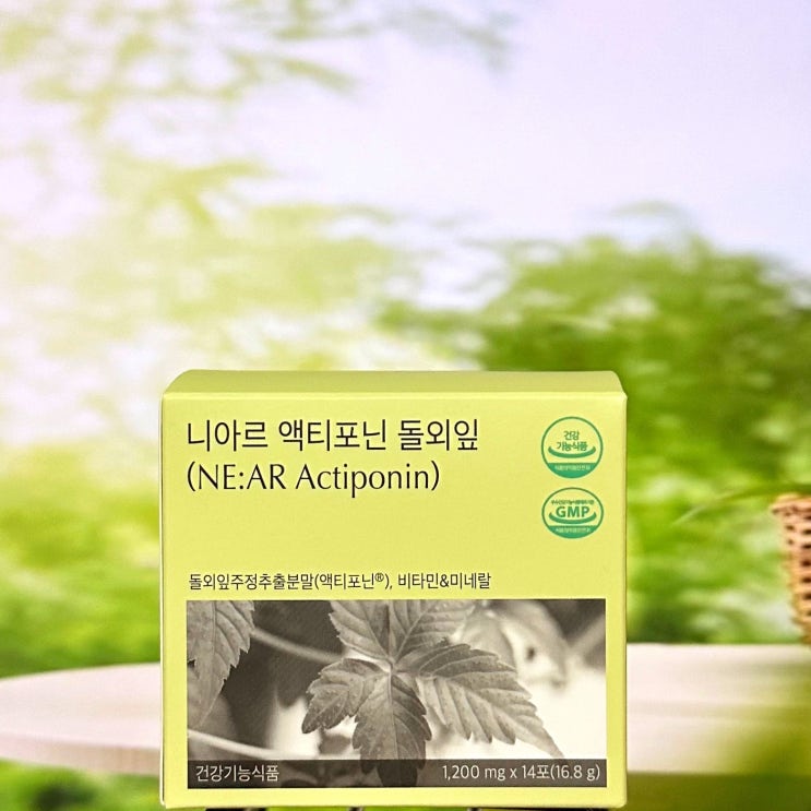  슬립 다이어트 니아르 돌외잎 액티포닌 영양제 후기