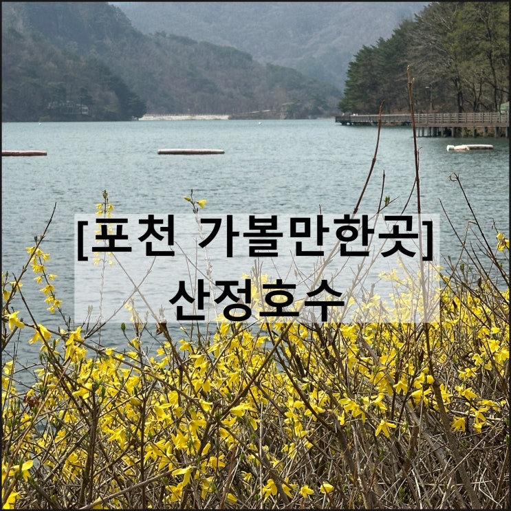  산정호수 | 포천 가볼만한곳 주차 오리배 카페 얼리빈스