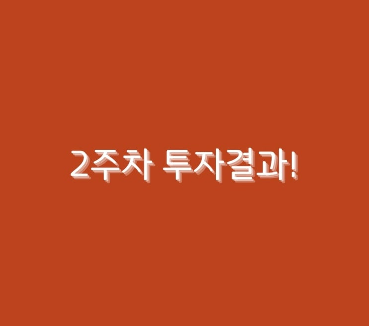  2주차 투자결과!