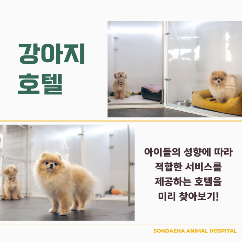 사진 4