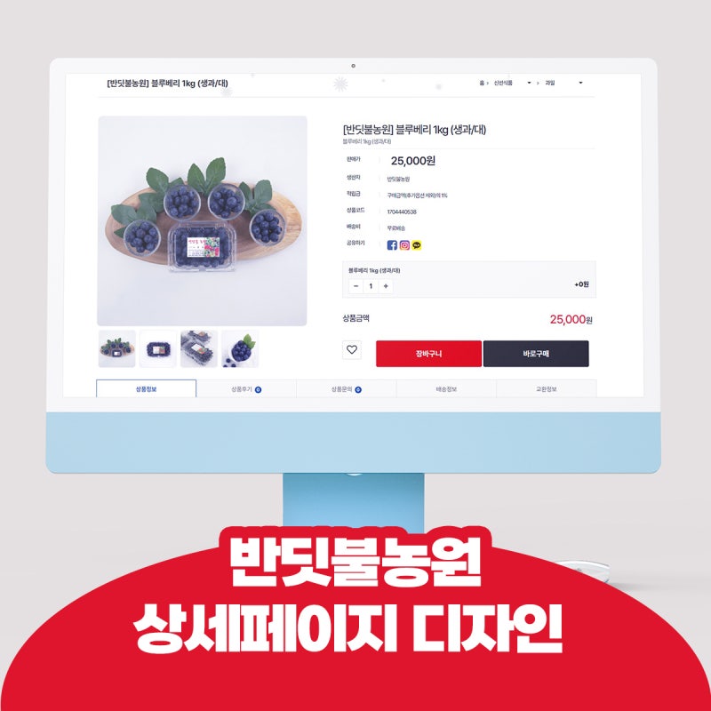 사진 5