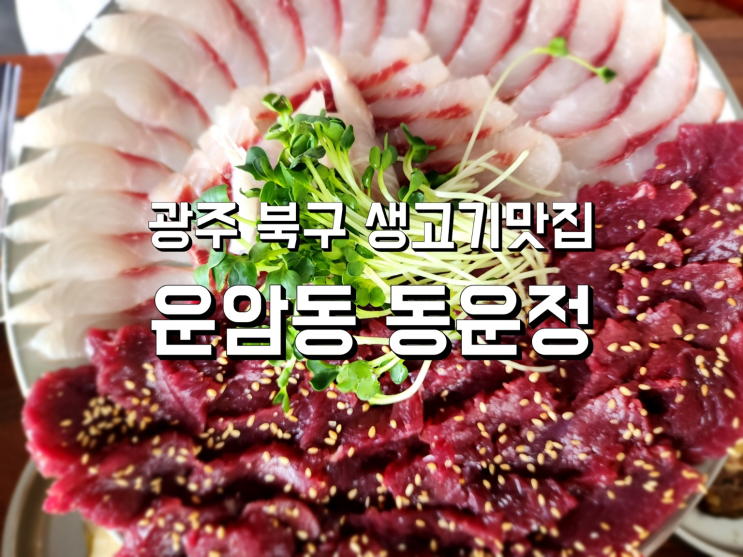  광주 북구 운암동 생고기 맛집 동운정 숙성회 반반세트 강추!