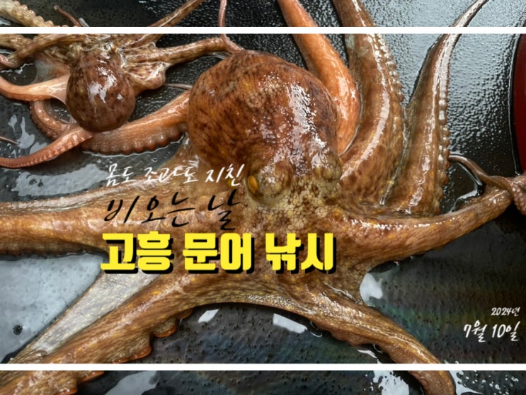  고흥문어낚시 비 오는 날 마음도 조과도 지친 폭망 녹동 조행기