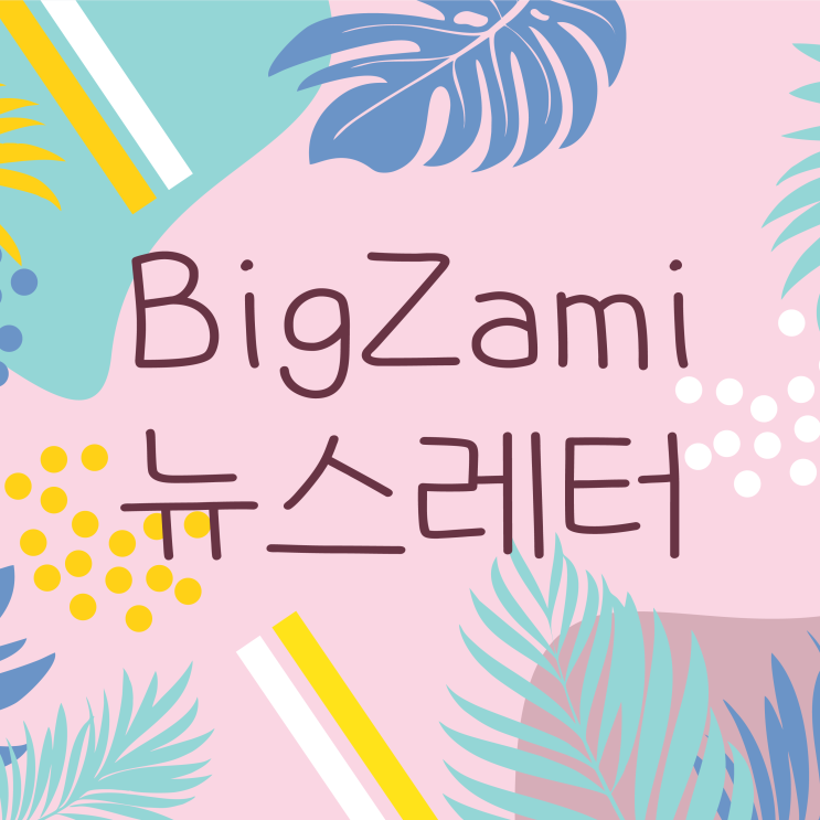  뉴스레터 [빅재미 주간소식 2024.7.11]