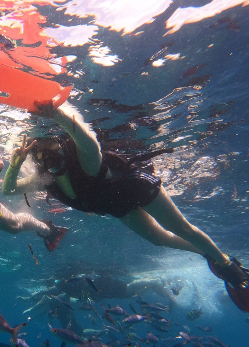 데카트론 이지브레스 900 다이빙마스크 스노클링 마스크 풀페이스마스크 : 네이버 블로그