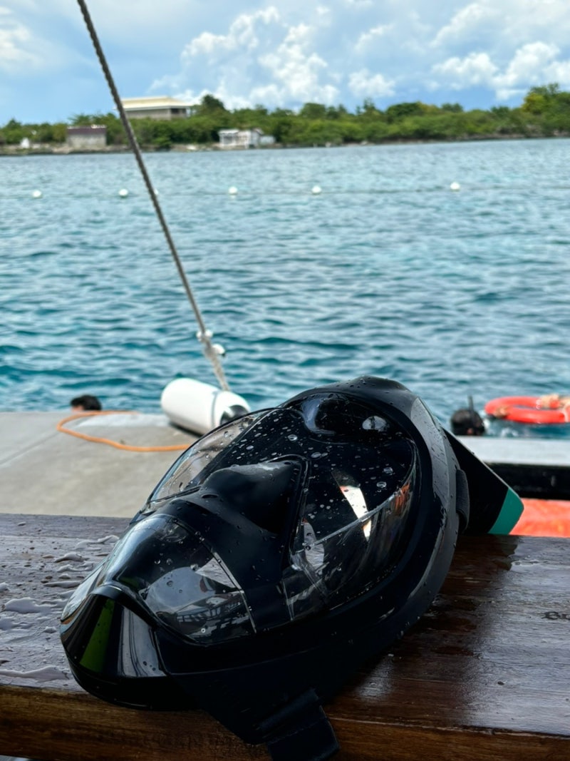 데카트론 이지브레스 900 다이빙마스크 스노클링 마스크 풀페이스마스크 : 네이버 블로그