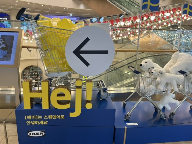 대전 신세계백화점 이케아 팝업스토어 방문 후기, 추천 아이템 리뷰