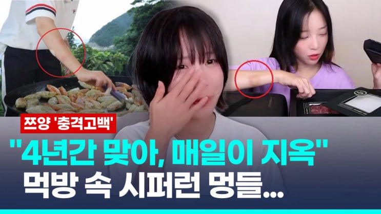  탐정 시각에서 본 쯔양의 전남친 감시,폭행, 40억 이상 갈취와 사이버렉카들의 2차 가해 사건