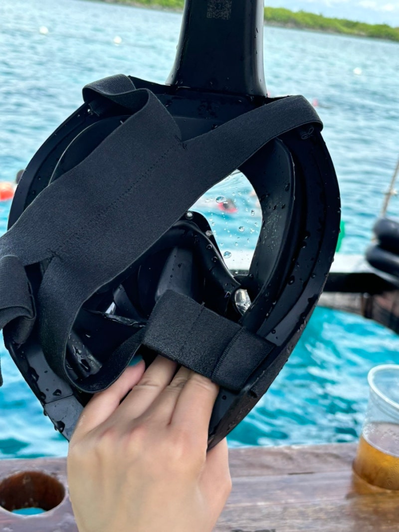 데카트론 이지브레스 900 다이빙마스크 스노클링 마스크 풀페이스마스크 : 네이버 블로그