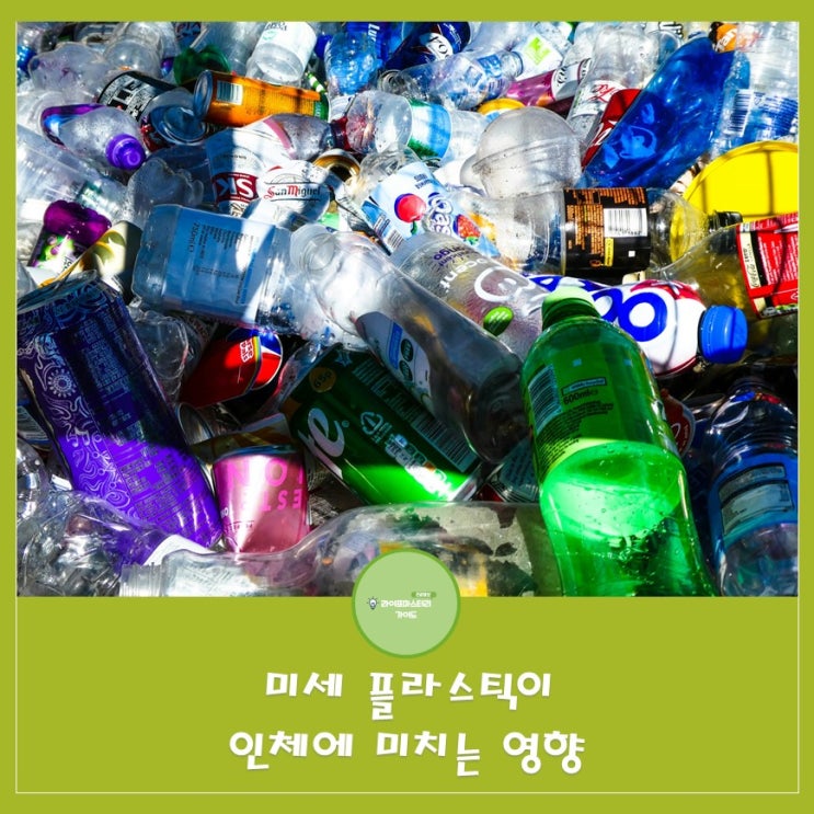  우리가 먹는 해산물과 생수, 과연 얼마나 안전할까? 미세 플라스틱의 위험성