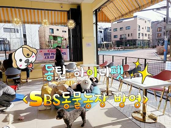 하이디펫