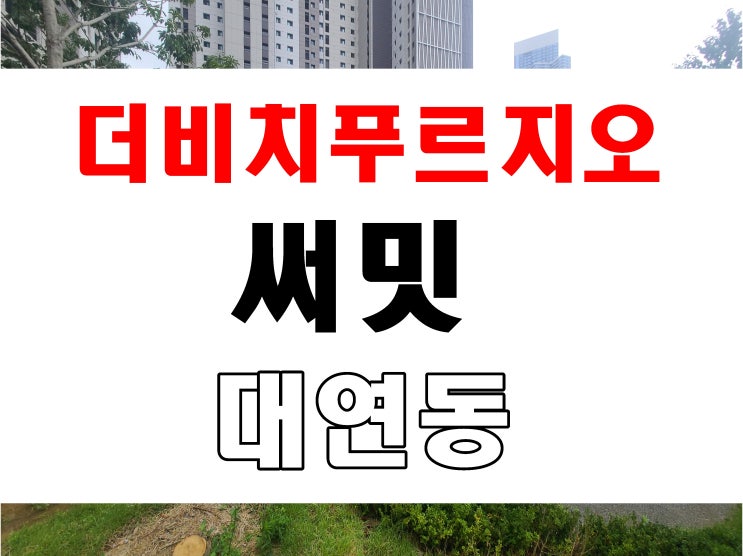  부산 대연동 더비치푸르지오 써밋 분양 블랑써밋74 비교