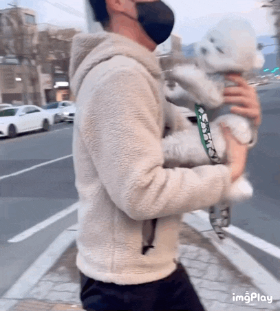 귀여운 동물 모음 78탄