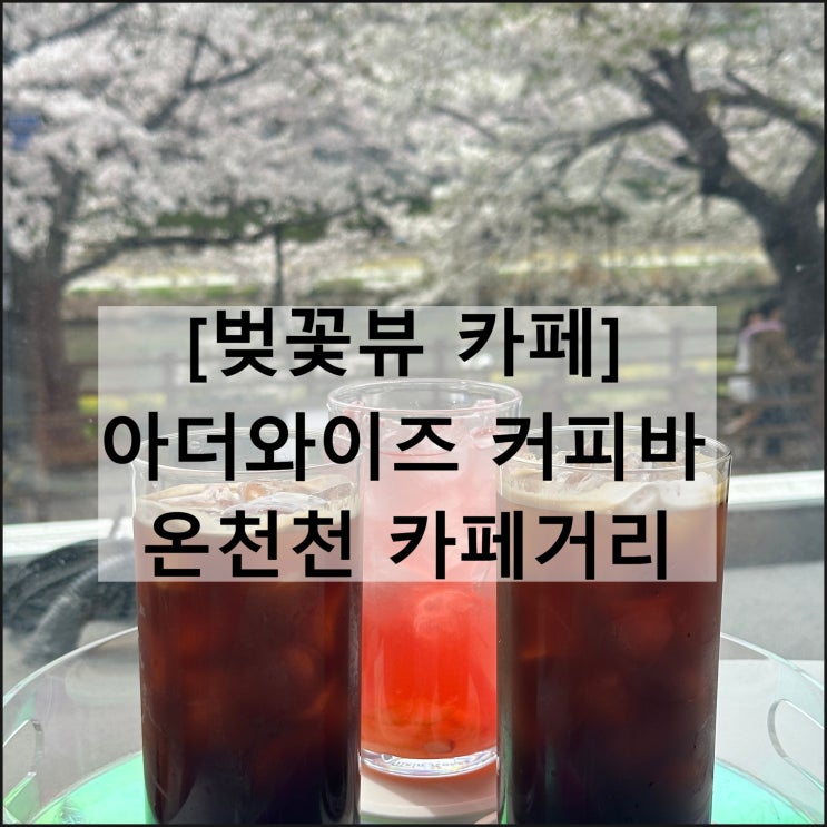  아더와이즈 커피바 온천천 카페거리 | 부산 가볼만한곳 벚꽃뷰 카페