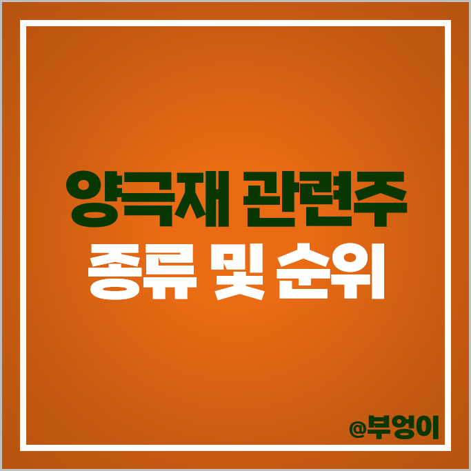 2차전지 양극재 관련주 대장주 에코프로 주가 금양 KG케미칼 주식 2차전지 양극재 관련주 대장주 에코프로 주가 금양 KG케미칼 주식