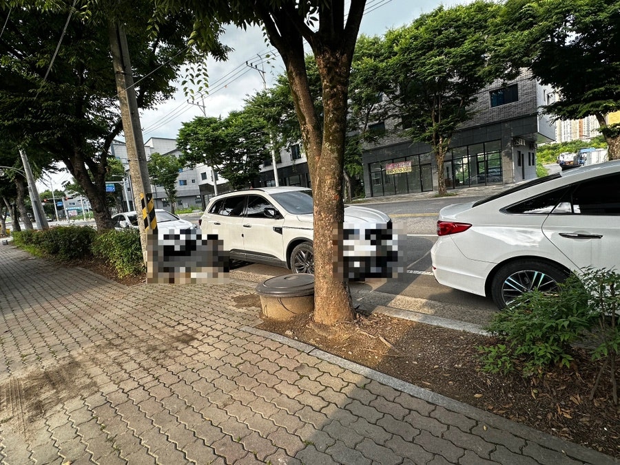 앞산옻닭생오리 사진 2