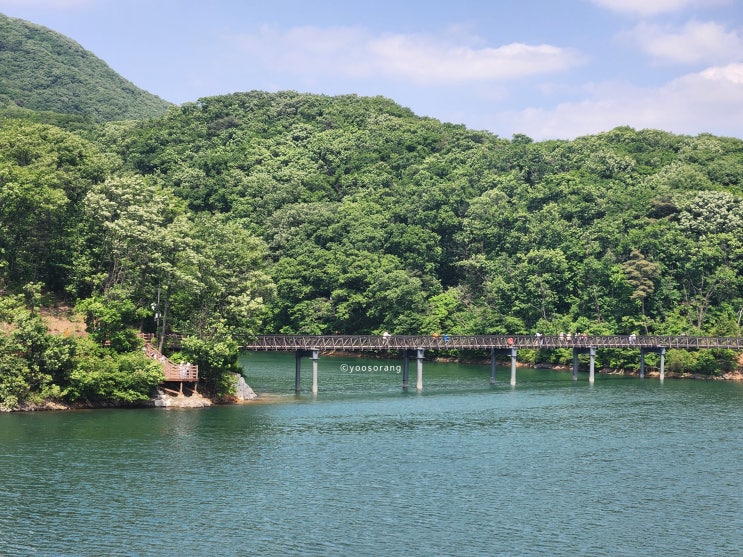  가족과 함께 파주 마장호수 출렁다리 산책