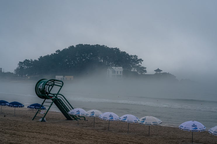  송정해수욕장의 해무