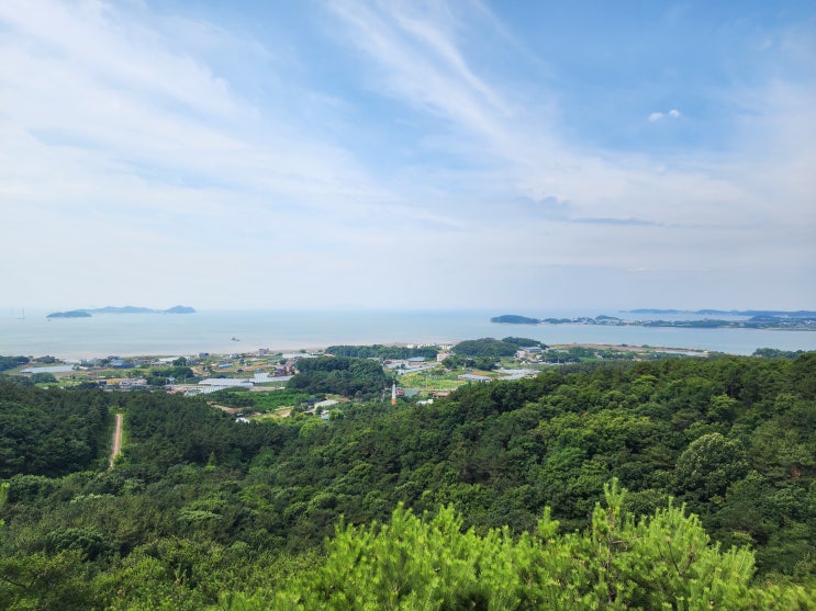 경기도 안산 대부도 가볼만한곳 ::바다향기수목원:: 시시하지않아