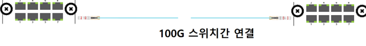  100G DAC케이블, QSFP28 to QSFP28