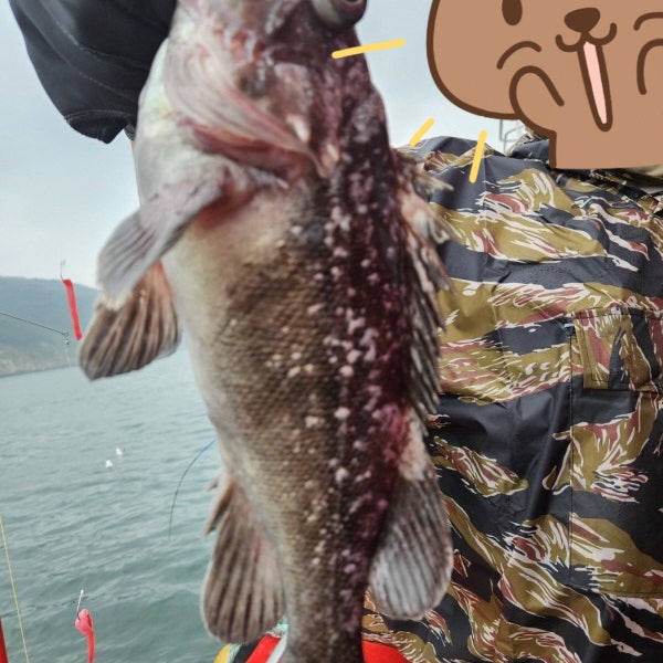  인천배낚시 6월 가격 바다 우럭낚시 채비까지 추천