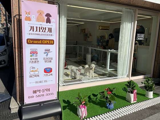 사진 5