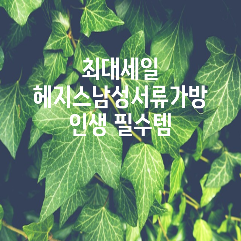 헤지스 남성 서류가방 스타일과 실용성 모두 잡는 5가지 선택 비교분석 및