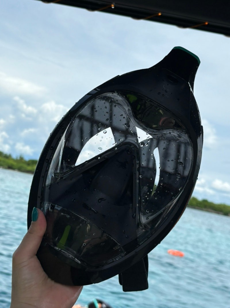 데카트론 이지브레스 900 다이빙마스크 스노클링 마스크 풀페이스마스크 : 네이버 블로그