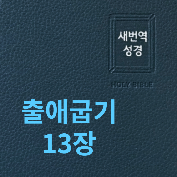 출애굽기 13장 출애굽기 13장